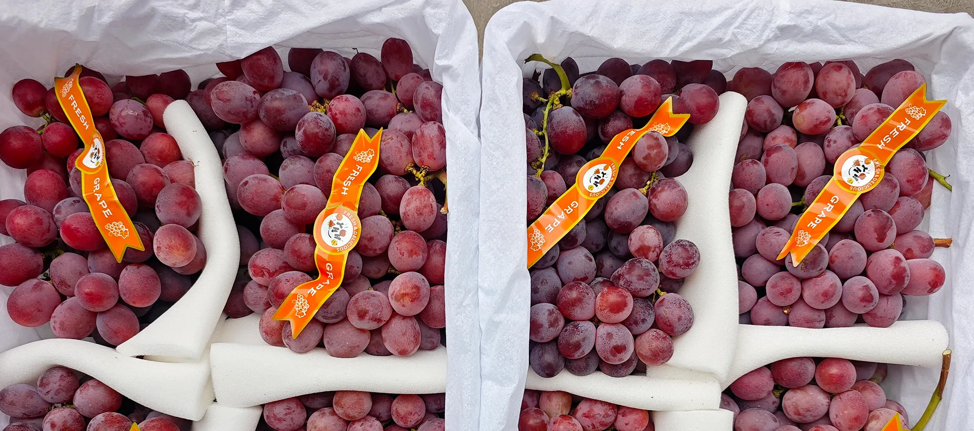 Кытай Premium Fresh жүзүм берүүчү