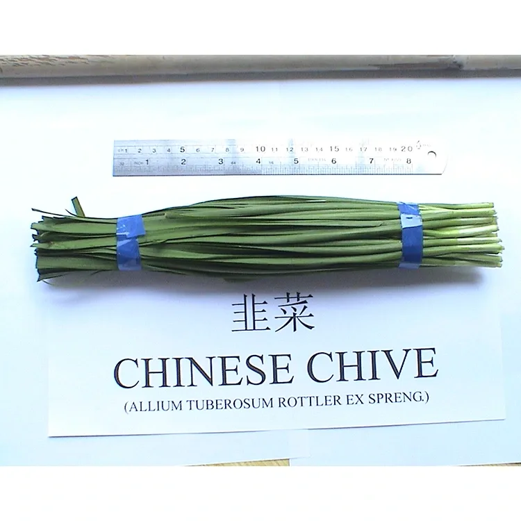 Эмне үчүн Farm Fresh Chinese Chives Азия ашканасында кеңири колдонулат?
