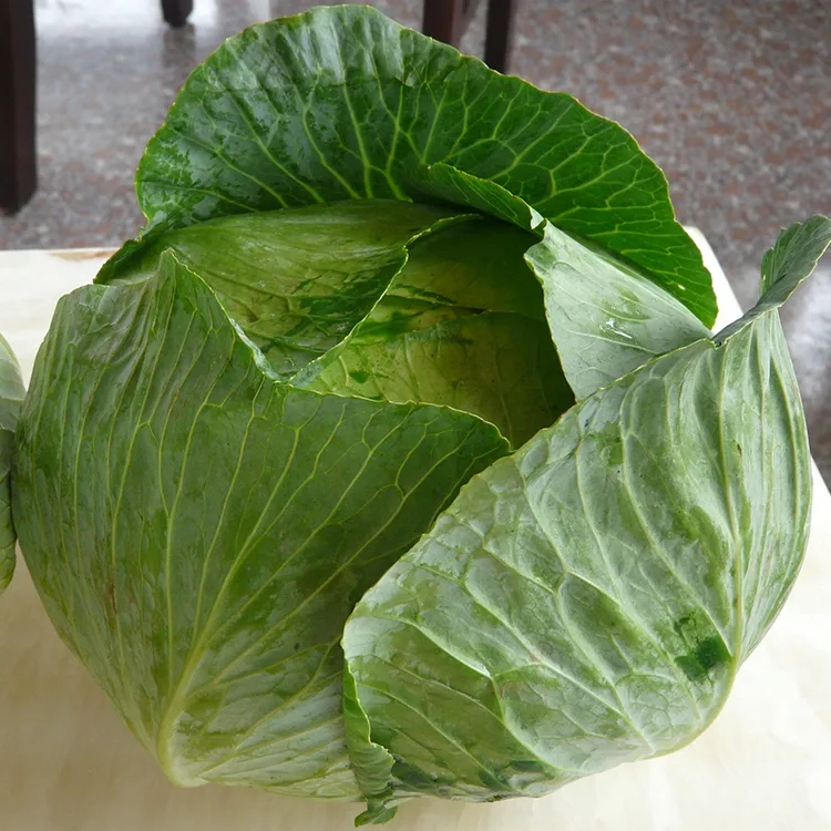 Crisp Fresh капуста