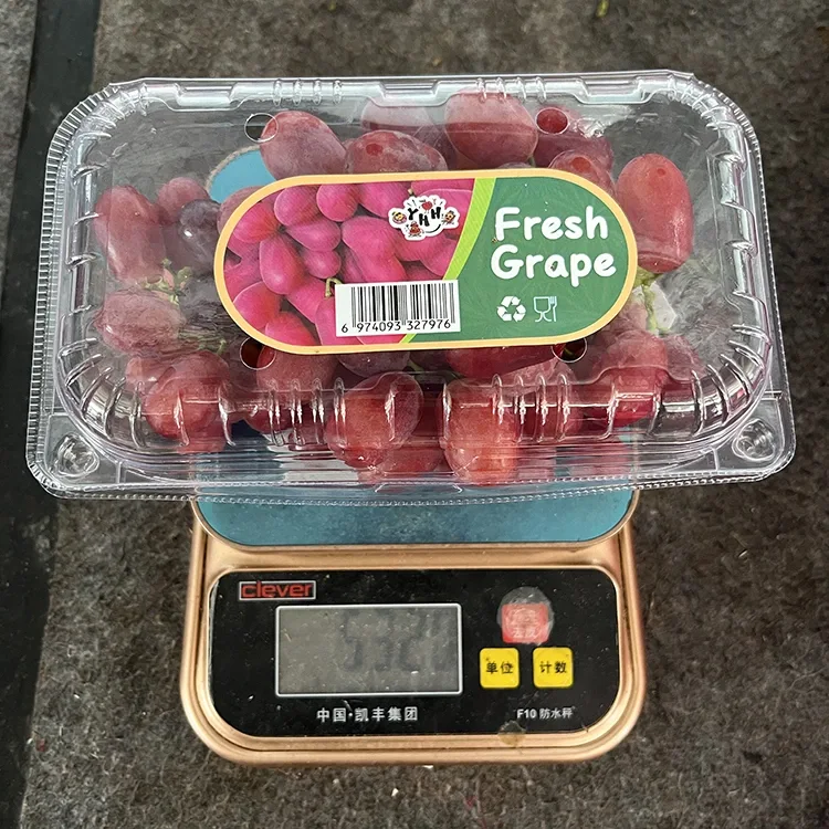 Экспорт класстагы Fresh Crimson уруксуз жүзүм