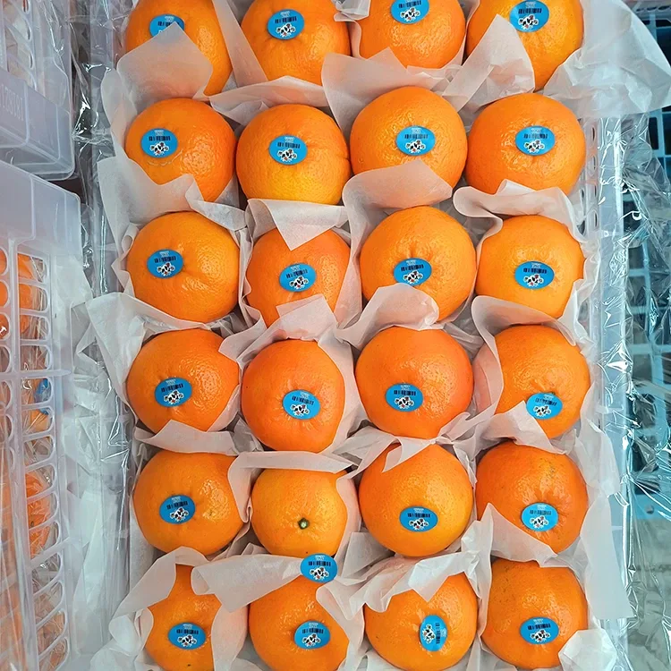 Premium Fresh Sweet Wogan Мандариндери