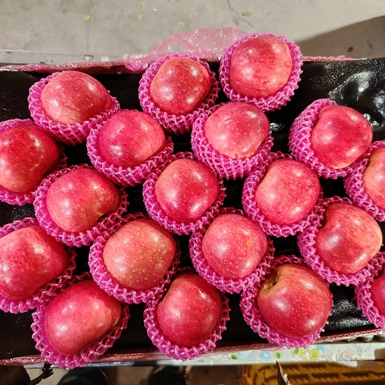 Superior Fresh Jiguan алмалары
